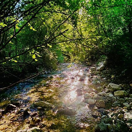 巴德伊舍Ferien Im Gruenen Reiterndorf公寓 外观 照片
